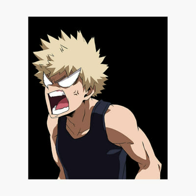 Will Bakugo like you? - Quiz | Quotev