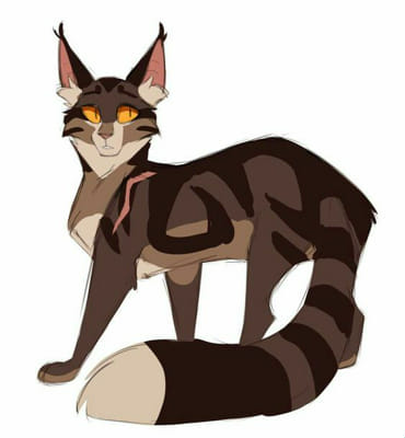 Is your warrior cats oc a mary/gary sue ? - Quiz | Quotev