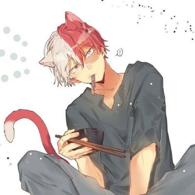 What does Shoto Todoroki think of you? - Quiz | Quotev