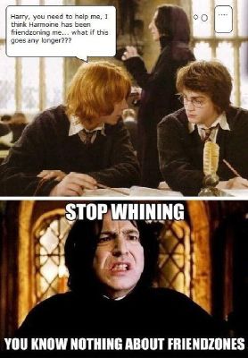 HARRY POTTER MEMES 