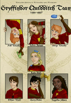 Harry Potter Gryffindor Quidditch Team Quiz - Test | Quotev