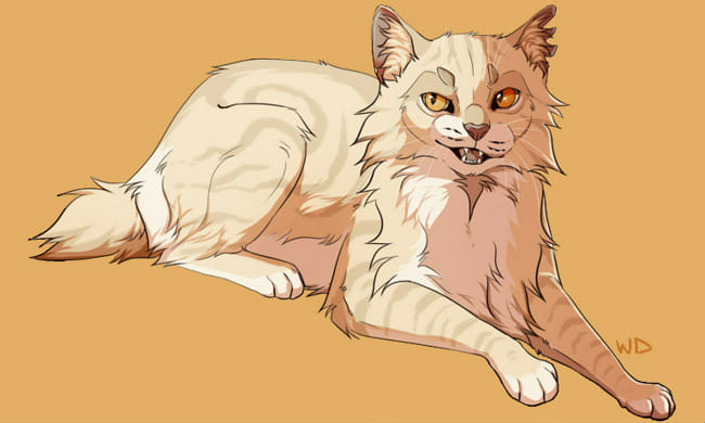 Topic · Warrior cats ·