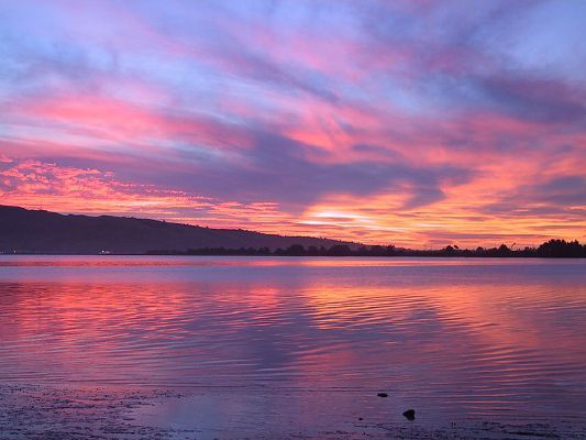 What color represents you - Quiz | Quotev