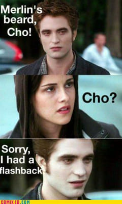 twilight/harry potter meme  Twilight funny, Twilight memes, Harry potter  vs twilight