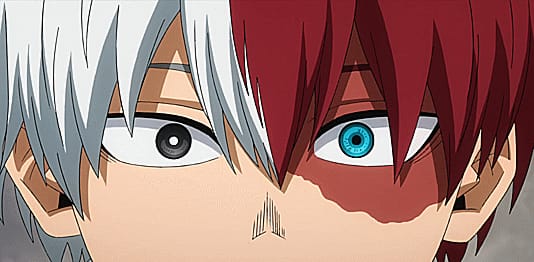 What does Shoto Todoroki think of you? - Quiz | Quotev