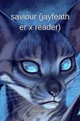 Jayfeather as a kittypet!