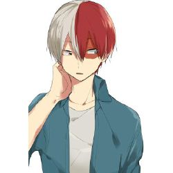 aesthetic anime pfps for you weebs — shouto todoroki ( boku no