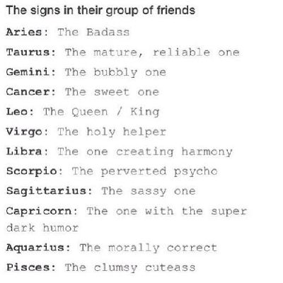 The Zodiac Signs Them in their group of friends The Zodiac