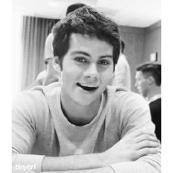 I Have A Total Crush On You Dylan O Brien Quotev