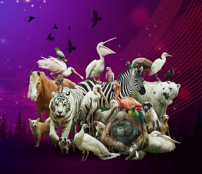 What is your spirit animal? Quiz Quotev