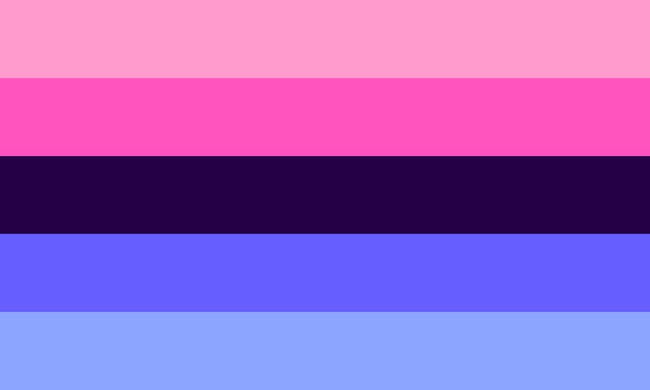 how long has the pride flag been around