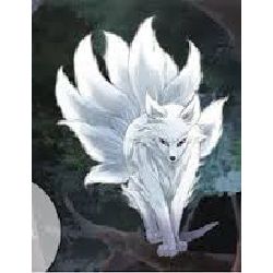 Anime white fox girl HD wallpapers  Pxfuel