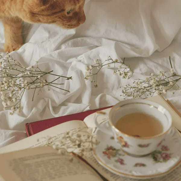 What is your aesthetic? Quiz Quotev