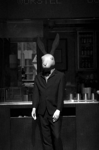 White Rabbit | Quotev