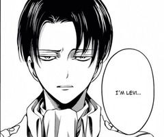 What does Levi Ackerman think of you? - Quiz