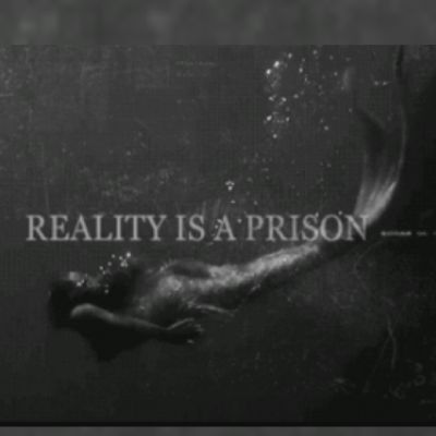 What's Your "Insanity" Quote? - Quiz