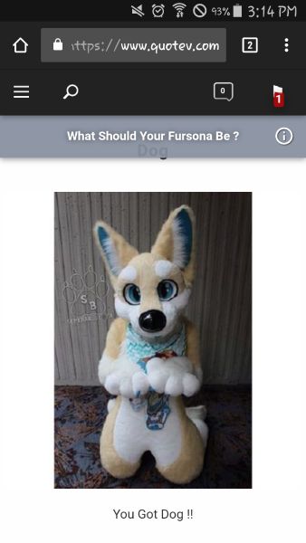 What Is Your Fursona? (Unique And Common Animals) - Quiz | Quotev