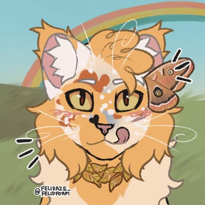 felidaze's warrior cat creator｜Picrew