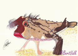 Do you like these Fish? - Survey | Quotev