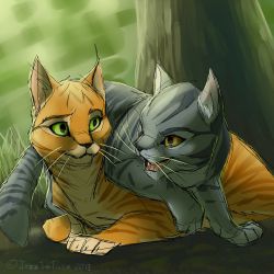 warrior cats graystripe and silverstream a thousand years