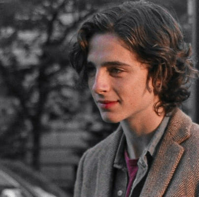 How much are you similar to Timothée Chalamet - Test | Quotev