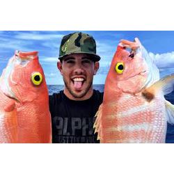 Can you guess these baseball players? - Test | Quotev
