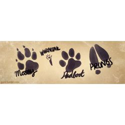 moony wormtail padfoot and prongs footprints