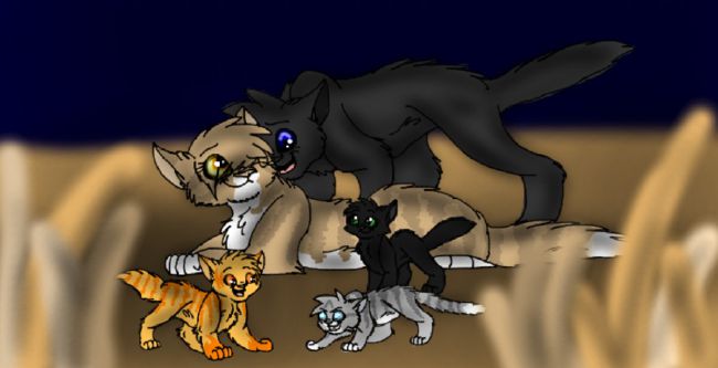 What If Firestar Joined WindClan?, Warrior Cat What Ifs?