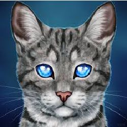 Jayfeather as a Kittypet