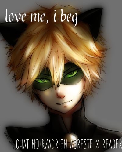 Total 63+ imagen miraculous ladybug adrien x reader - Viaterra.mx