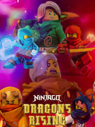 Ninjago Dragons Rising Roleplay Part 1: A New Ninja - Quiz | Quotev