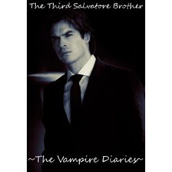The Vampire Diaries - Damon and Elena fanfiction. - Three