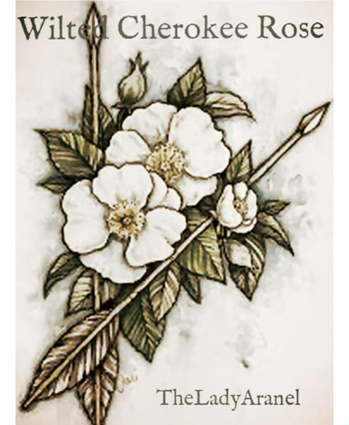 cherokee rose trible by mbaker167 on DeviantArt