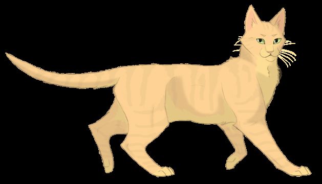 Rant #10 Firestar, Warrior Cat Rants!