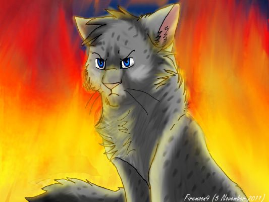 Ashfur!, Warrior Cats Got Talent!