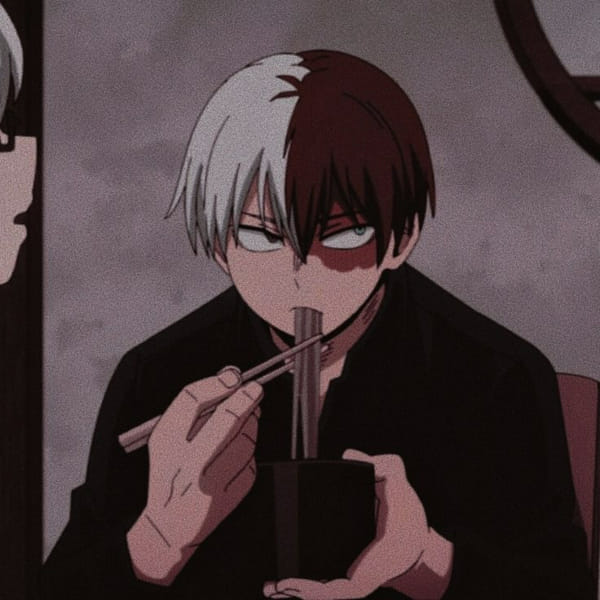 whose-secret-love-child-are-you-according-to-todoroki-bnha-quiz