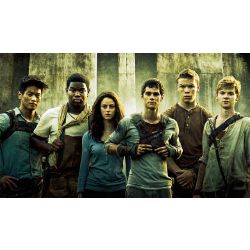 The Fever Code [maze runner movie] Fan Casting on myCast