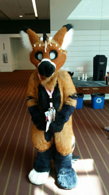 What is your fursona? (A furry test) - Quiz | Quotev