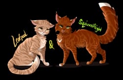 She-Cats - Inya's Warrior Cats