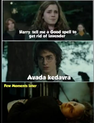 Enjoy these memes I've accumulated : r/HarryPotterMemes