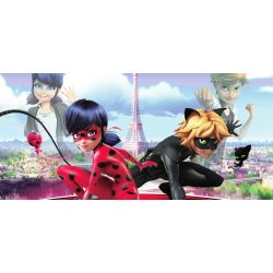 Who are you in Miraculous: Tales of Ladybug & Cat Noir - Quiz | Quotev