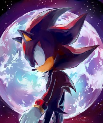 Don't Follow Me ((Sonic X Shadow One Shot))