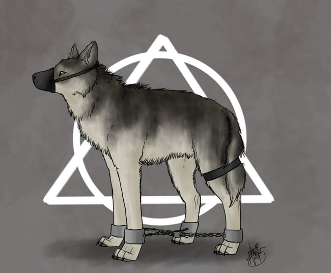 Gear, Feline (therians/otherkin) Wiki