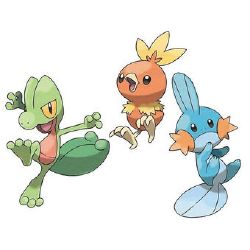 Which Starter Pokemon are You? (Hoenn Edition) - Quiz | Quotev