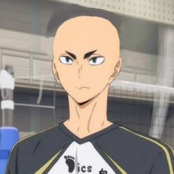 Bald Quizzes
