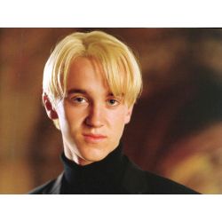 How Similar are you to Draco Malfoy? - Quiz | Quotev