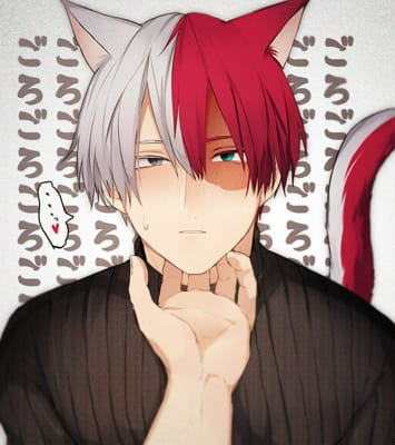 Choose Cat's And Get A Picture Of Todoroki - Quiz