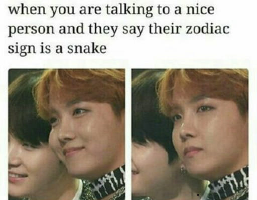 What is your fursona? (A furry test) - Quiz | Quotev