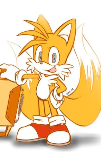 Light In The Dark (Sonic X READER, Tails X OC)