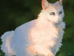 Warrior Cats Rp Quizzes Warrior Cats Rp Quizzes